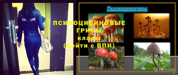 ECSTASY Алексеевка