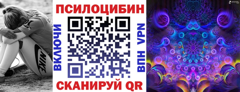 где купить наркотик  Оленегорск  Псилоцибиновые грибы ЛСД 